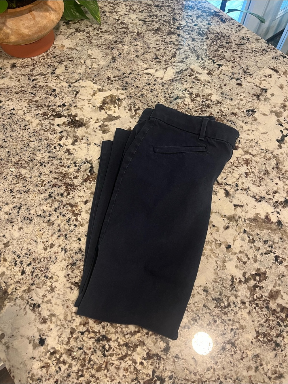 GAP Classic Navy Dress Pants